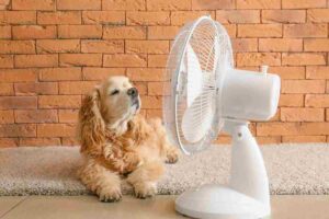 Non sprecare soldi con i climatizzatori: tutto sul metodo passivo , tutti i dettagli